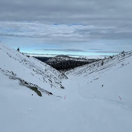 Apartmán Yllaes 4 Ski-in, Incl 2 Winter Lift Passes