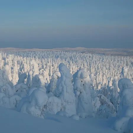Yllaes 4 Ski-in, Incl 2 Winter Lift Passes Lejlighed