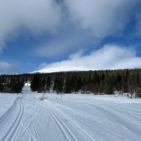 Yllaes 4 Ski-in, Incl 2 Winter Lift Passes Lejlighed Ylläsjärvi