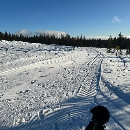 Yllaes 4 Ski-in, Incl 2 Winter Lift Passes *