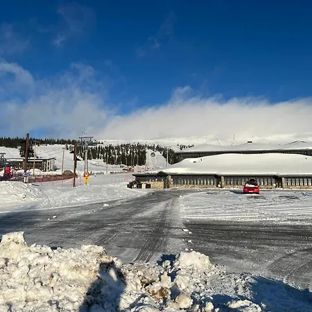 Lejlighed Yllaes 4 Ski-in, Incl 2 Winter Lift Passes *