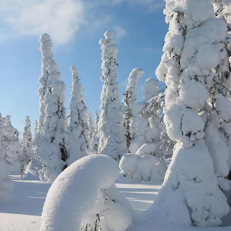 Yllaes 4 Ski-in, Incl 2 Winter Lift Passes Apartmán Ylläsjärvi