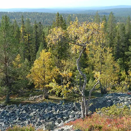 Lejlighed Yllaes 4 Ski-in, Incl 2 Winter Lift Passes *