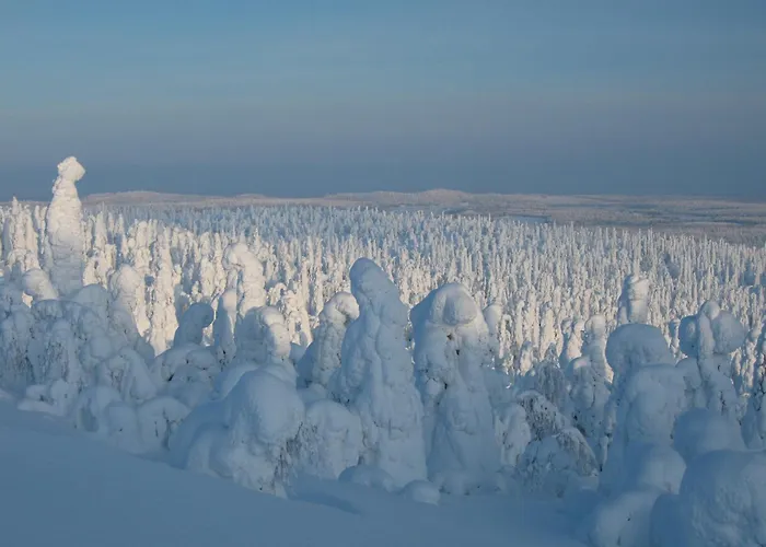Yllaes 4 Ski-in, Incl 2 Winter Lift Passes Daire
