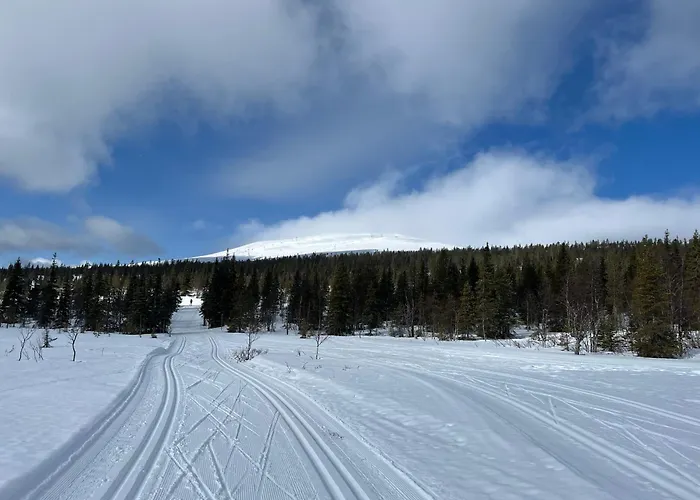 Yllaes 4 Ski-in, Incl 2 Winter Lift Passes Daire Ylläsjärvi