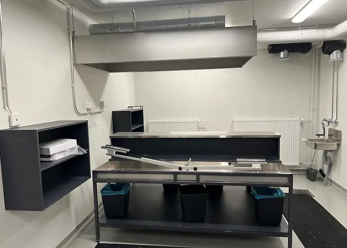 Daire Yllaes 4 Ski-in, Incl 2 Winter Lift Passes Ylläsjärvi