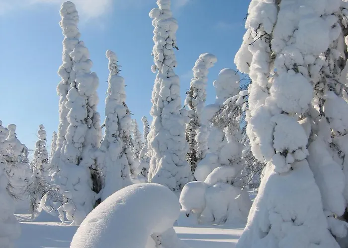 Yllaes 4 Ski-in, Incl 2 Winter Lift Passes Daire Ylläsjärvi