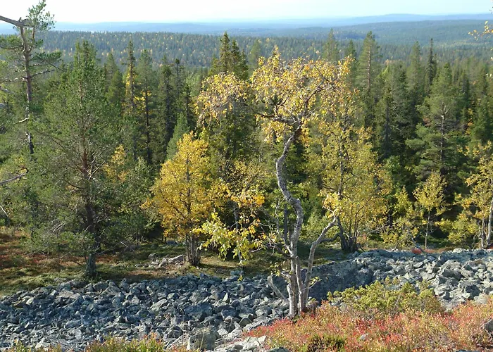 Daire Yllaes 4 Ski-in, Incl 2 Winter Lift Passes *